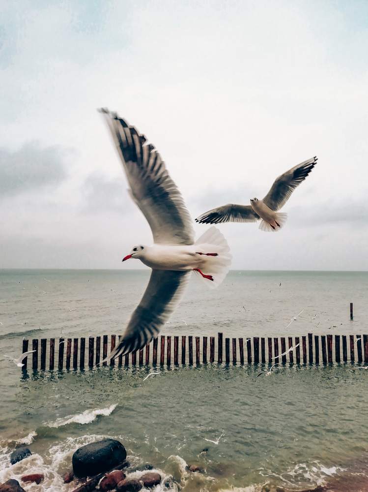 Photograph by Ксения Андросова