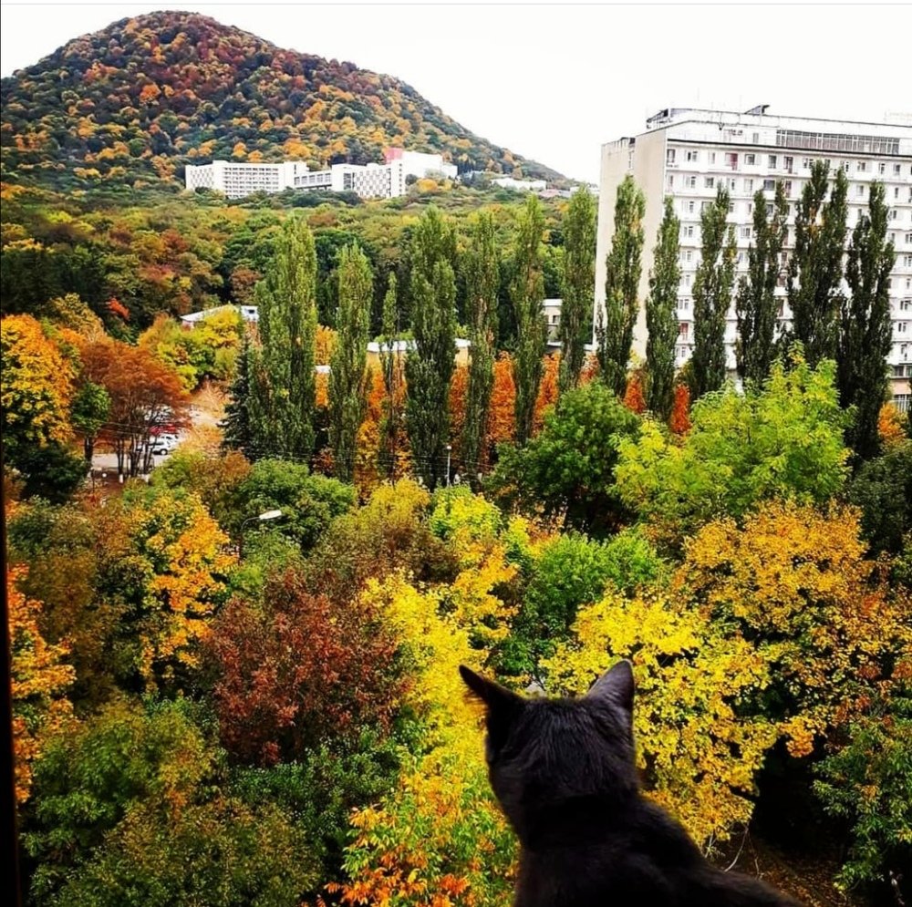 Photograph by Элина Лысенко