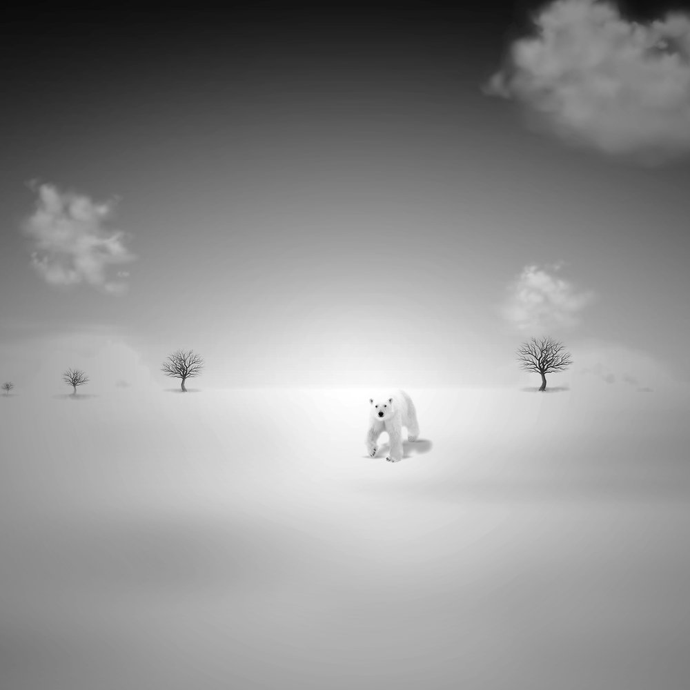 careful in her territory...