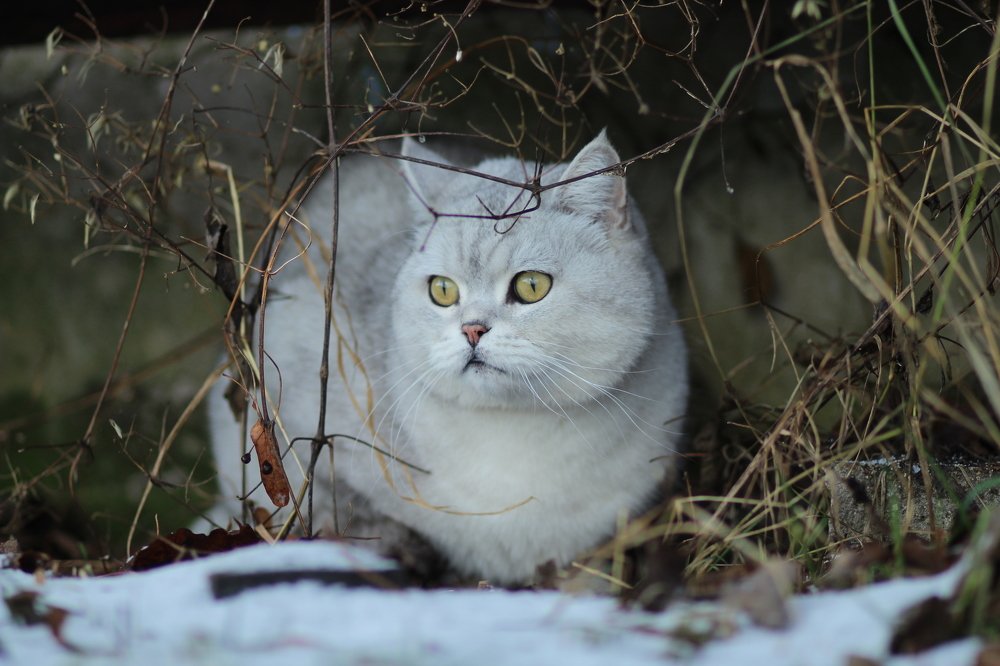 Photograph by Светлана Богомолова