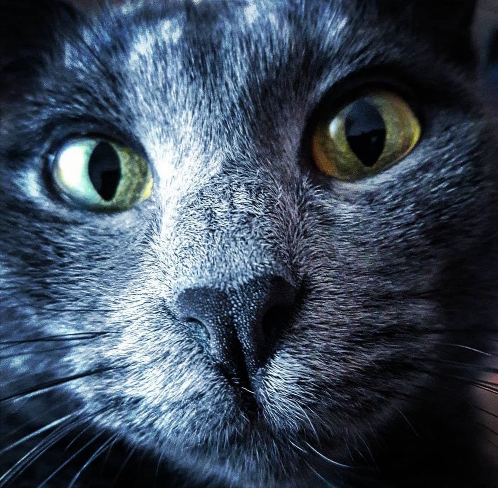 Photograph by Элина Лысенко