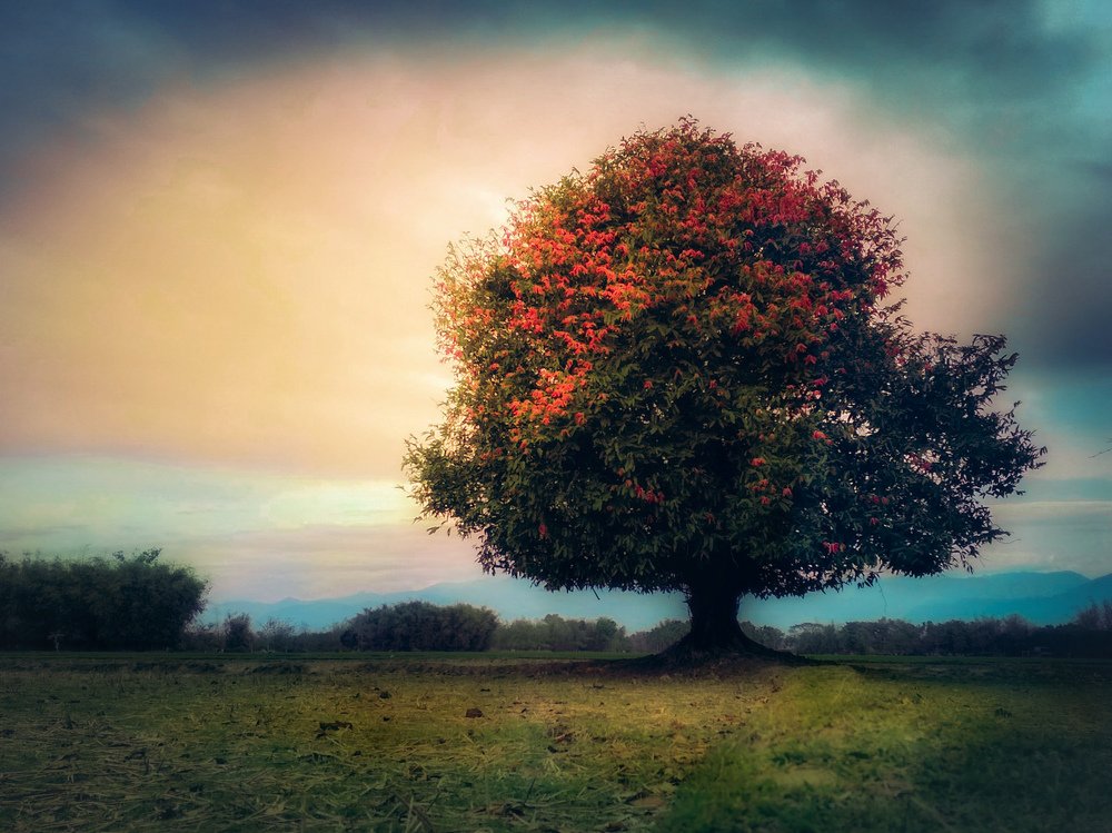 Game of colours.