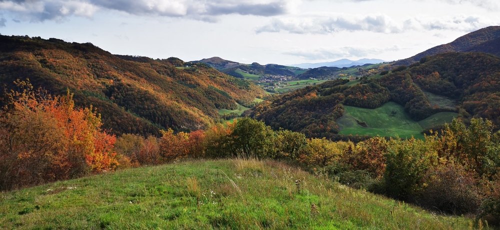 Photograph by Maurizio