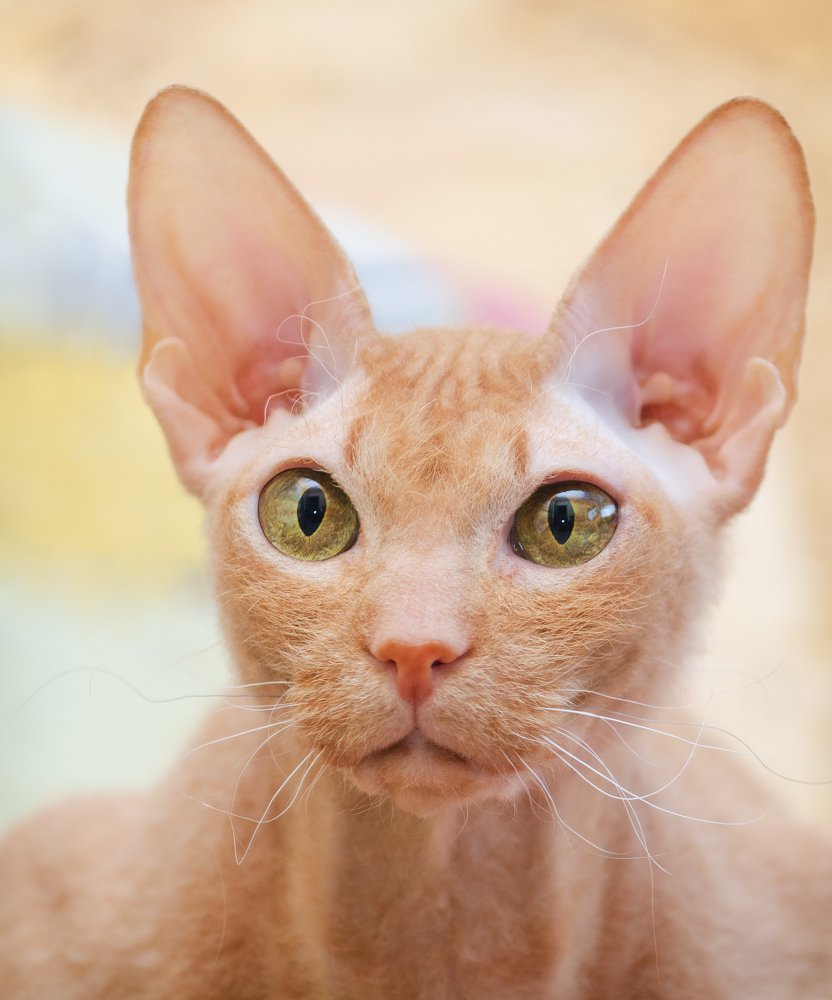 Photograph by Грязев Сергей