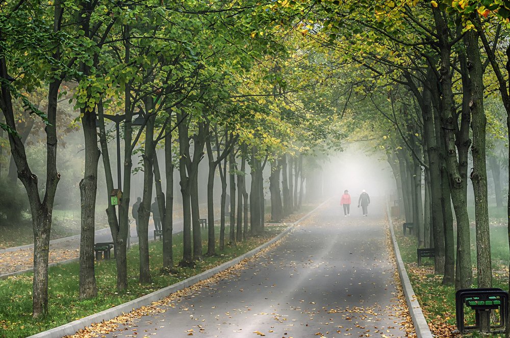 Фотография автора Владимир Троян