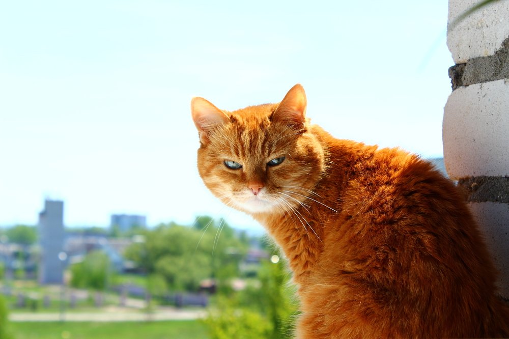 Photograph by Игорь Осипенко