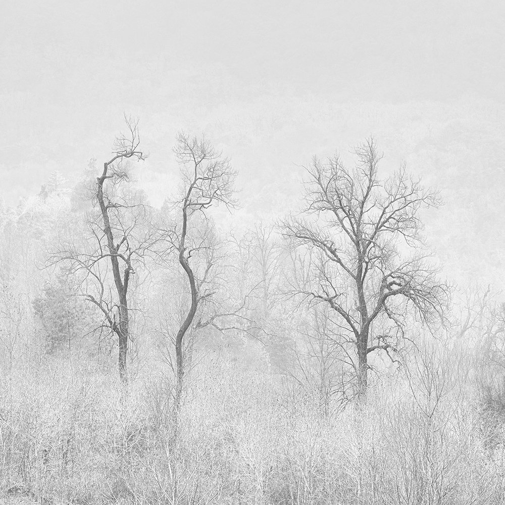 Photograph by Himadri Bhuyan