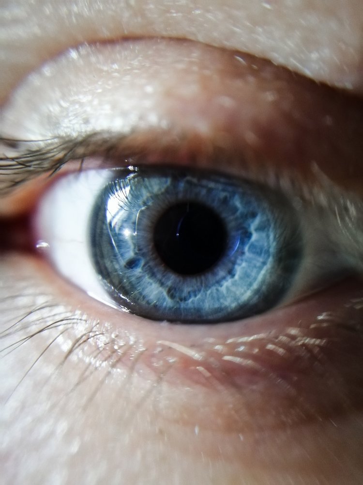 Photograph by Александра Пургаева