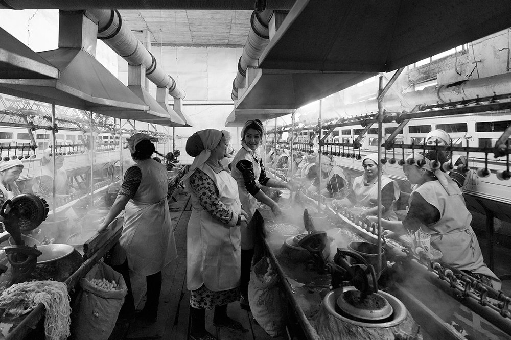 Photograph by Щипкова Елена