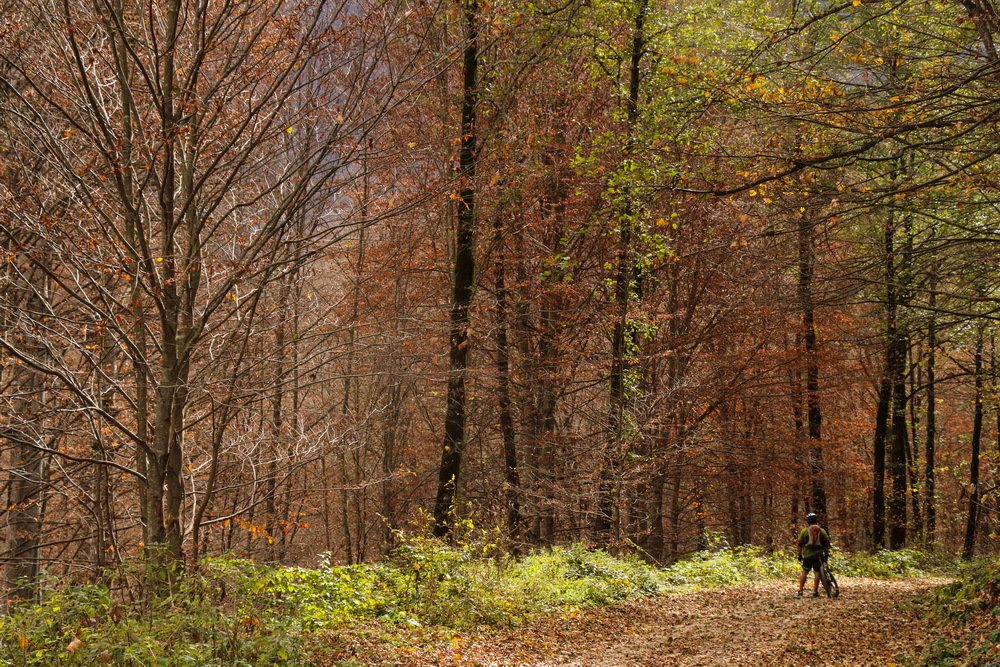 Photograph by  Reza Hazrati