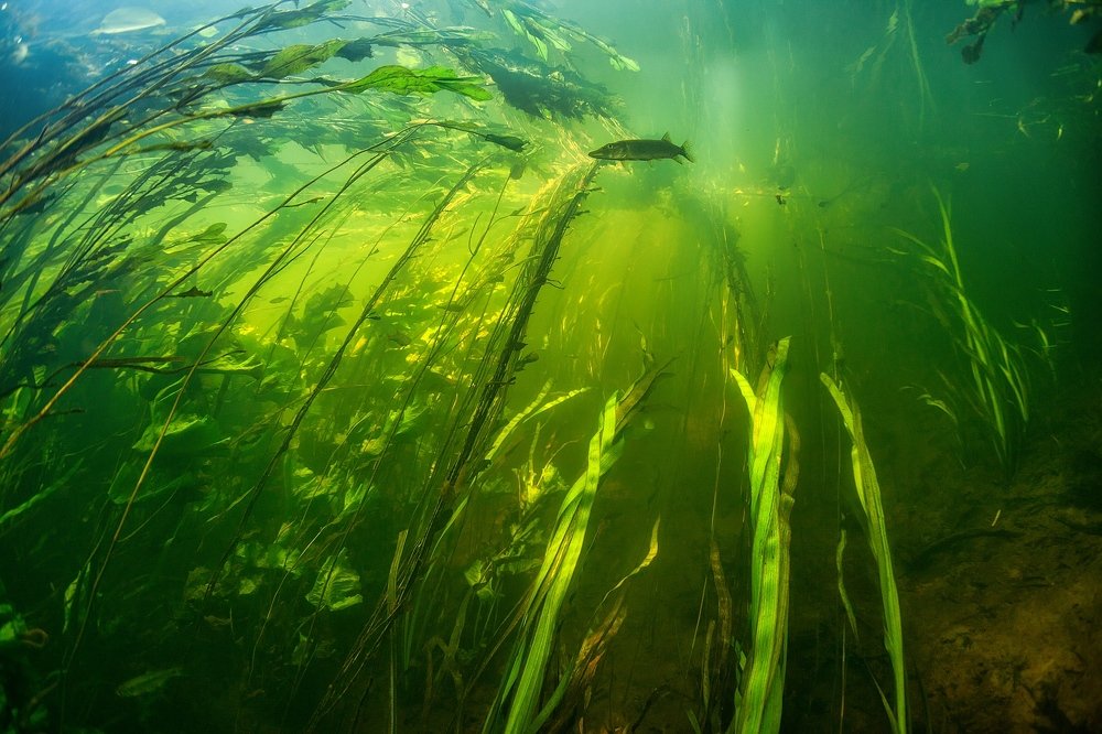 Фотография автора Нарчук Андрей