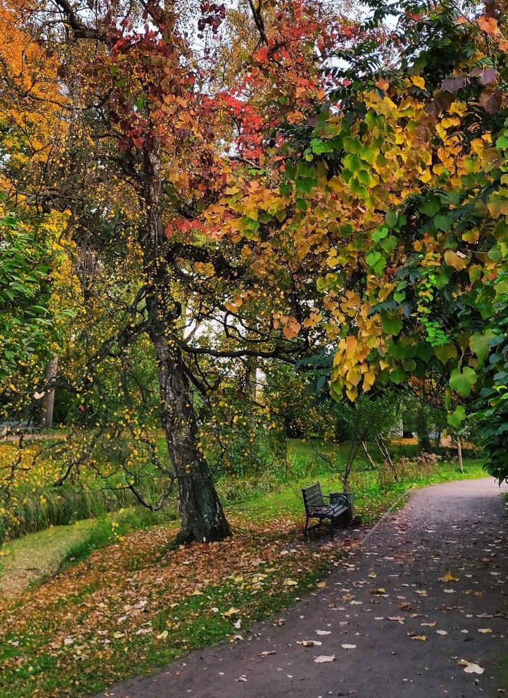 Photograph by Ирина Кузьмина