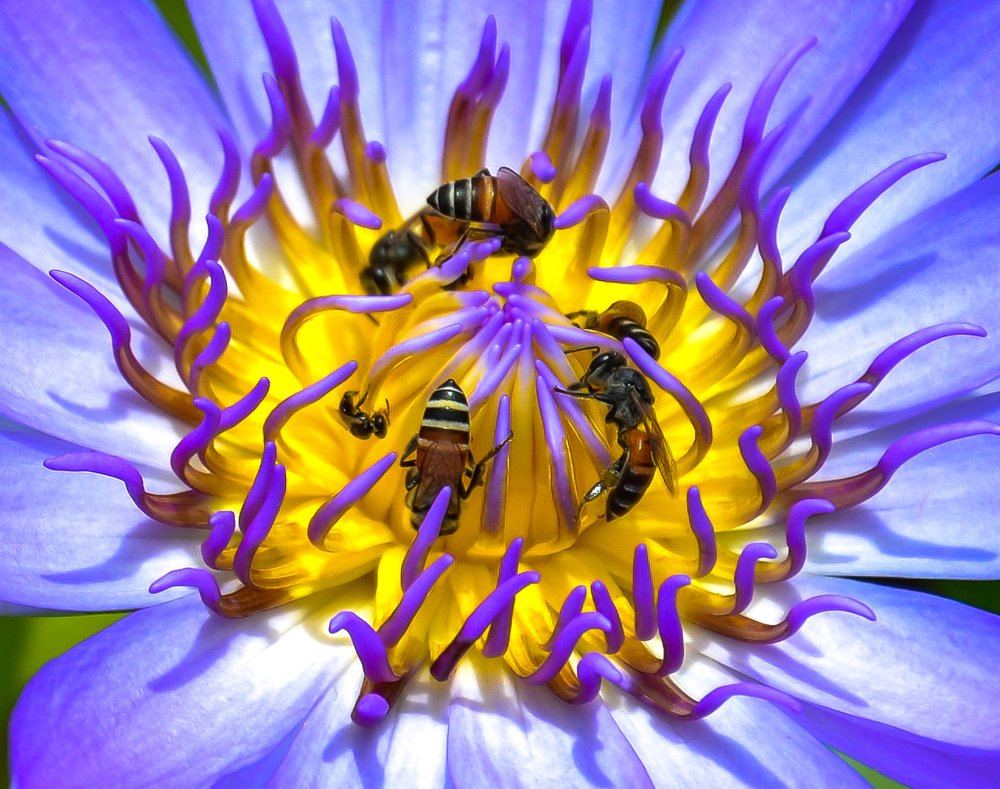 Фотография автора Alessandra Calosso