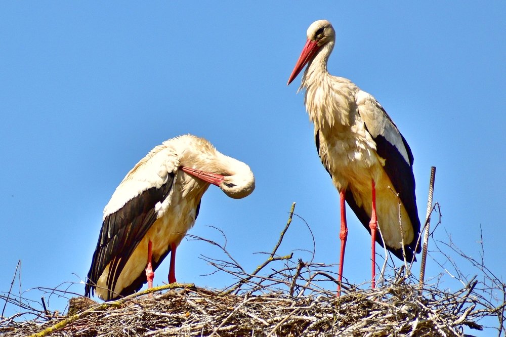 Photograph by Валерий Талейко