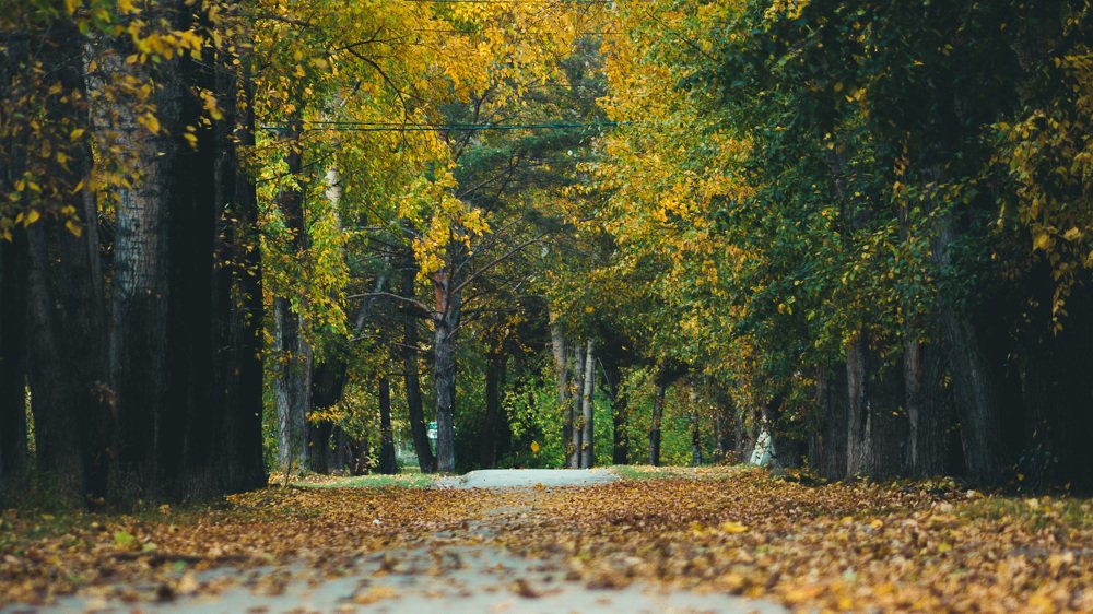 Photograph by Данил Коротких