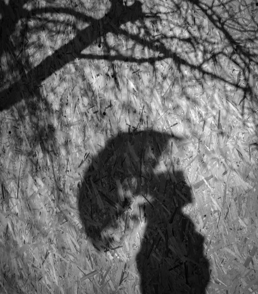 Photograph by Antonina Marchenko