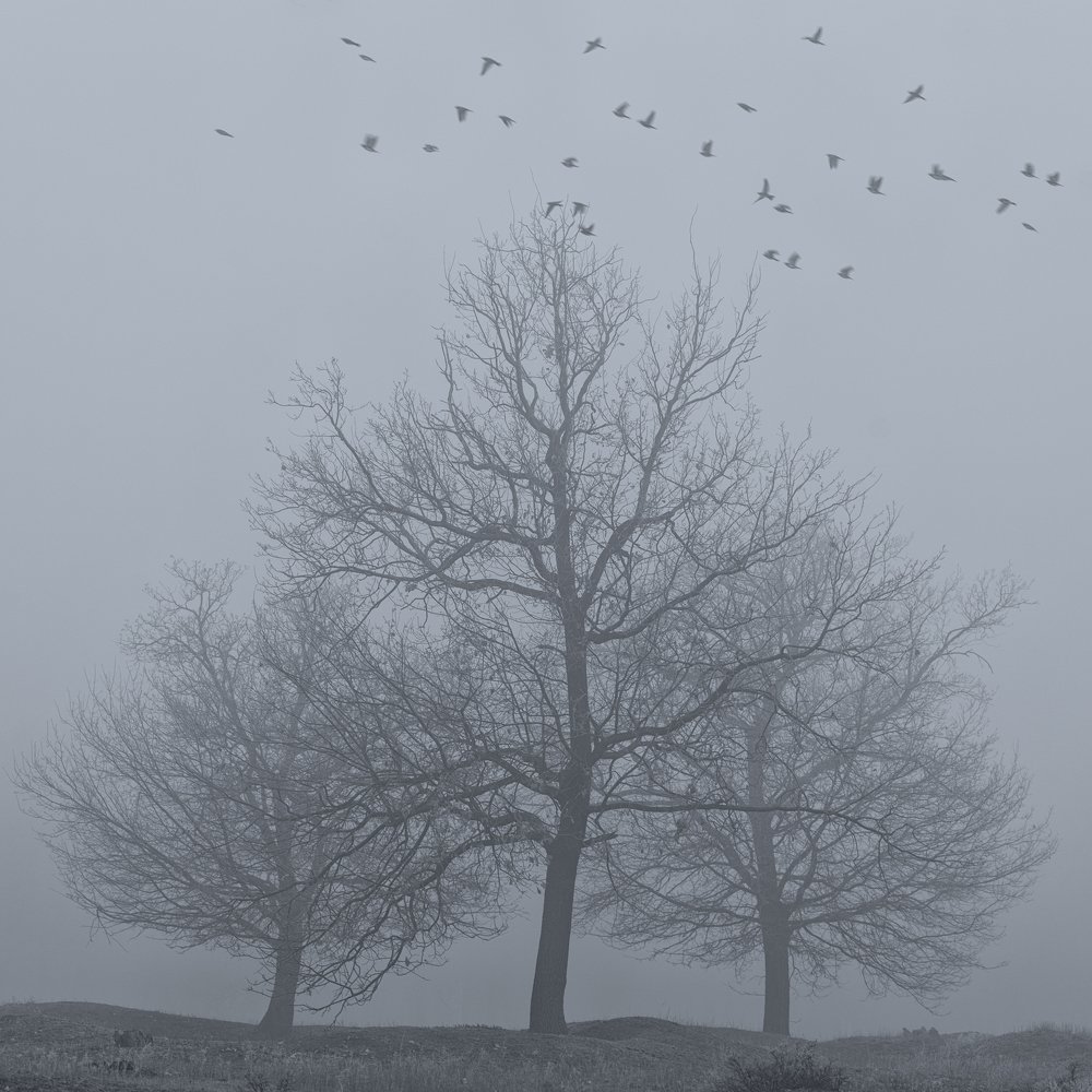 Фотография автора Игорь Баранов