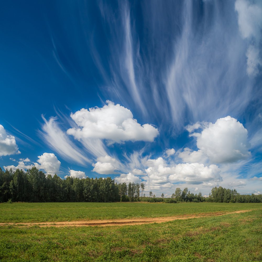 Photograph by Панагушин Сергей