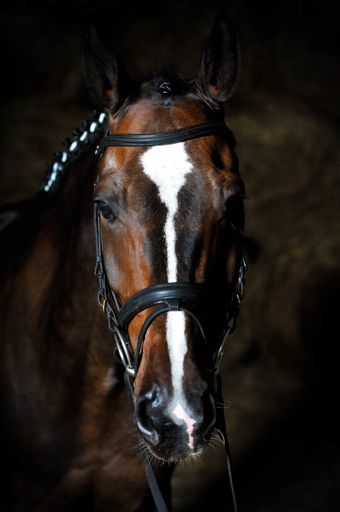 Photograph by Мария Лавриненко