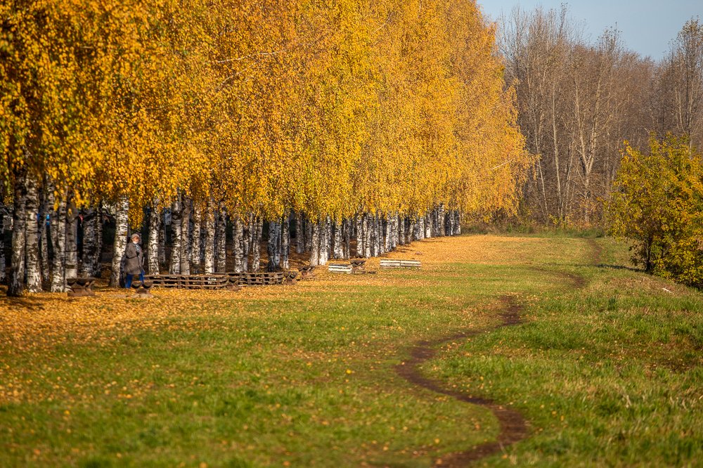 Фотография автора Панагушин Сергей