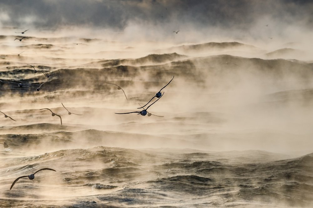 Photograph by Марк Шишкин