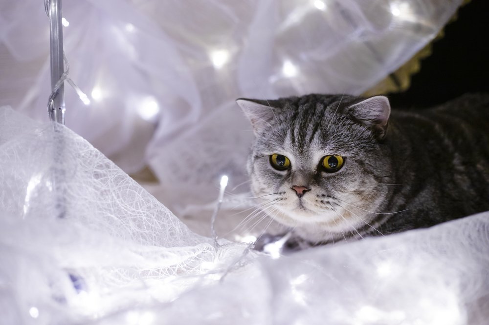 Photograph by Наталья Кириллова