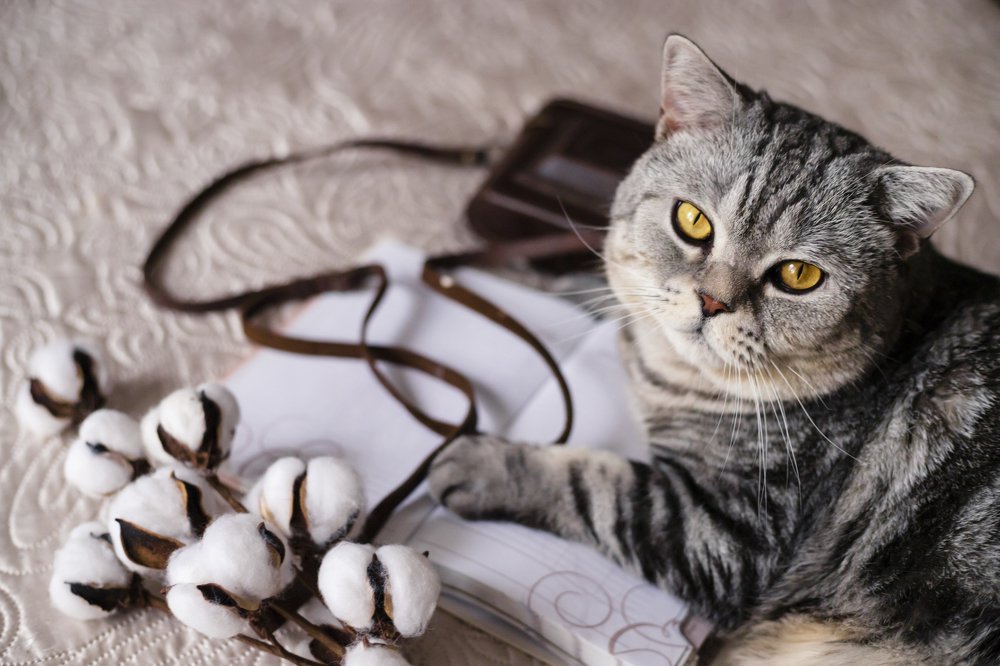 Photograph by Наталья Кириллова