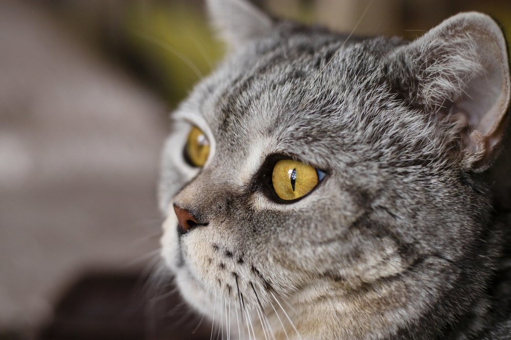 Photograph by Наталья Кириллова