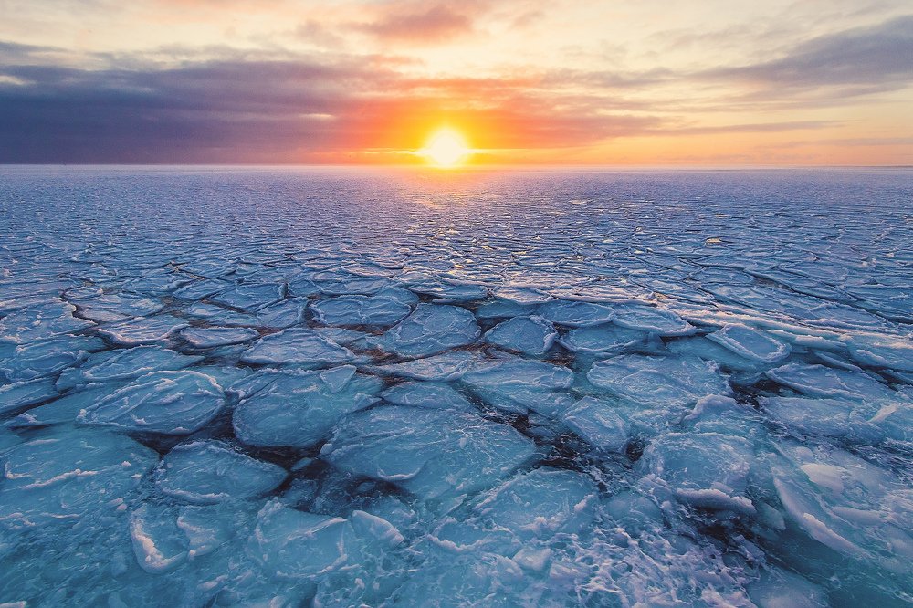 Photograph by Марк Шишкин