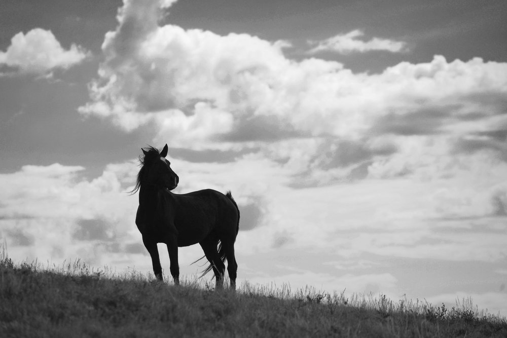 Photograph by Сергей Протопопов