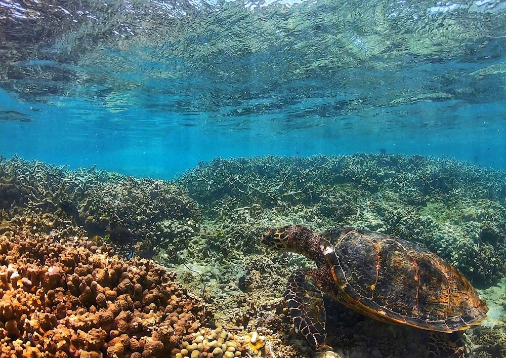 Photograph by Юлия Калугина