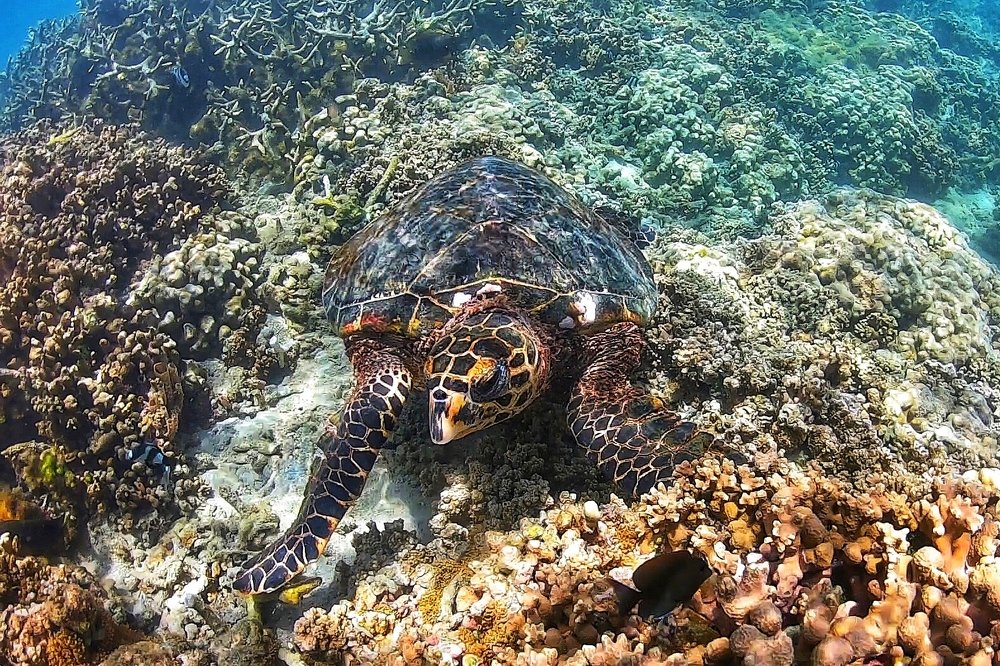 Photograph by Юлия Калугина