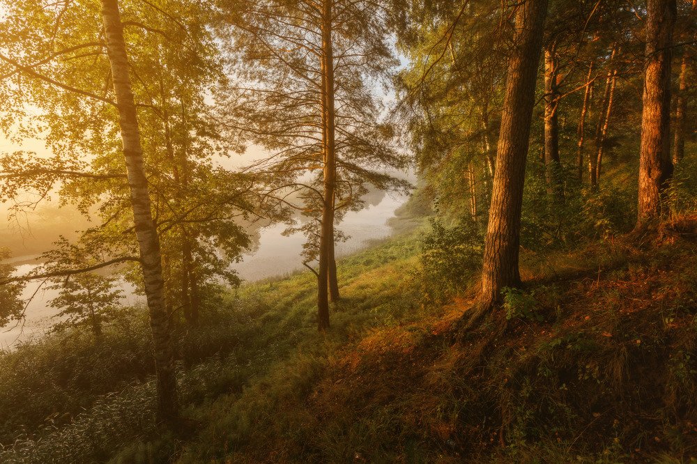 Photograph by Шевченко Николай