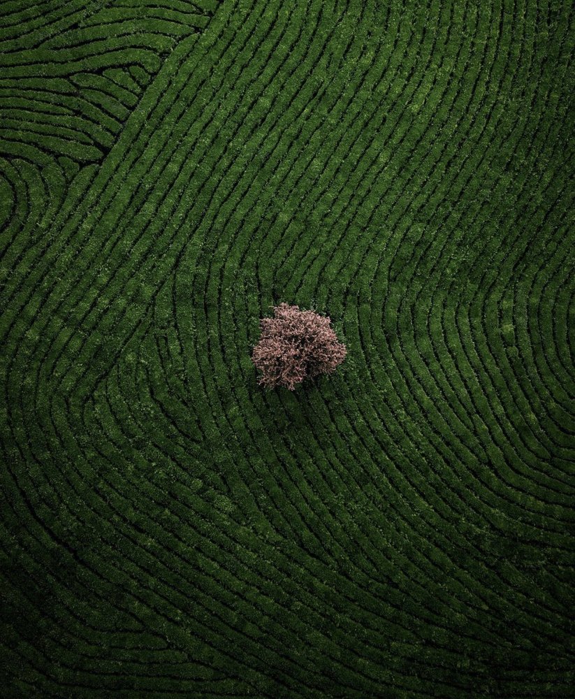 Фотография автора Yura Borschev