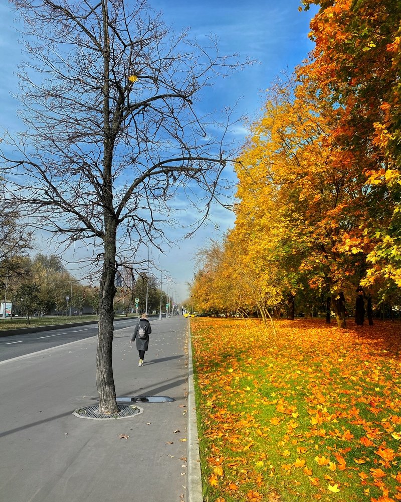Фотография автора Кирилл Литовский
