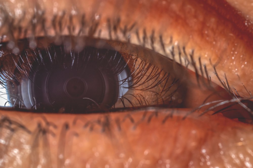 Фотография автора Vasileios Karapanagiotidis