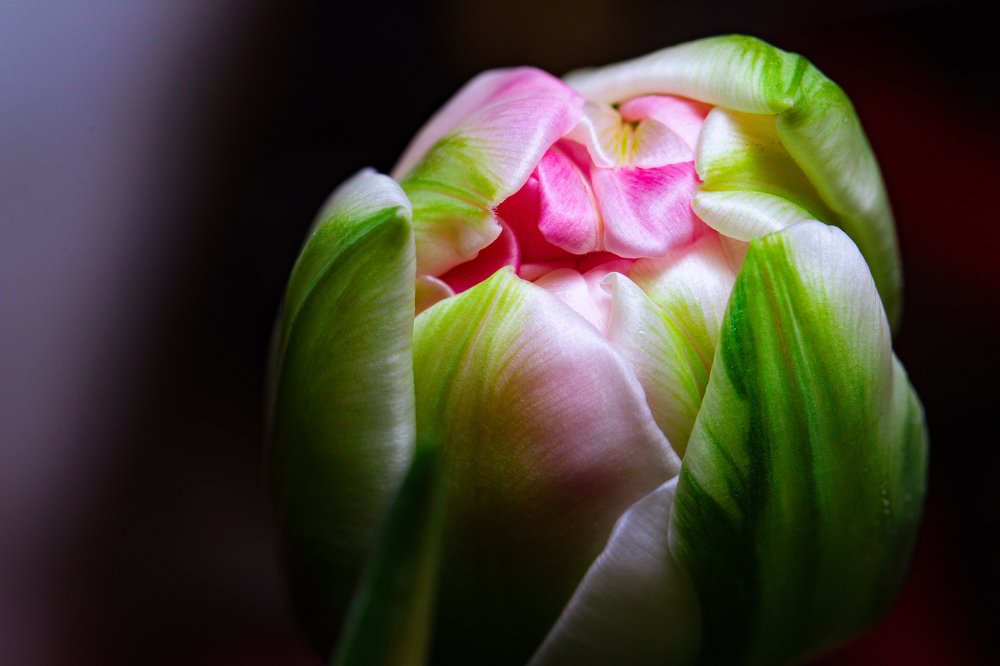 Photograph by Leonid Ivanovskij