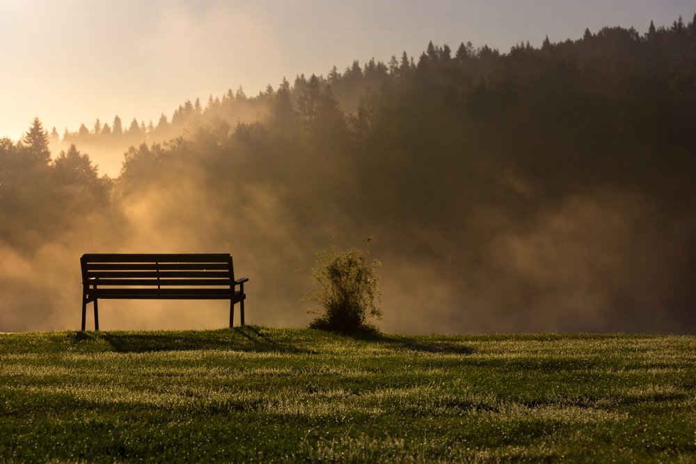 Photograph by Александр Яровой