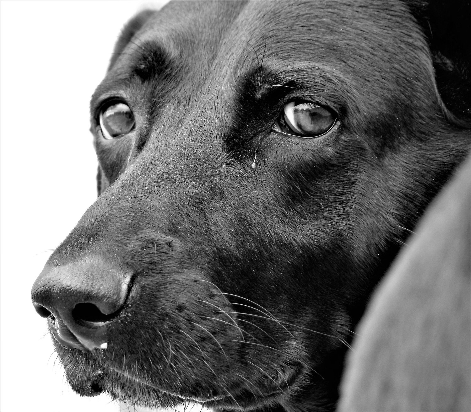 Photo #5308113