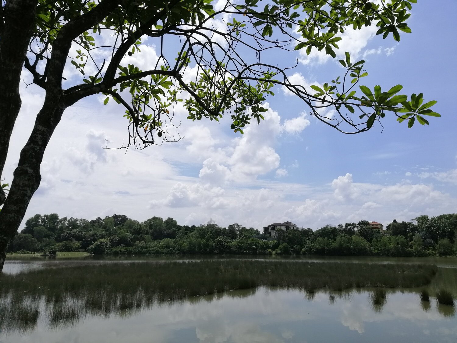 Photo #5308116