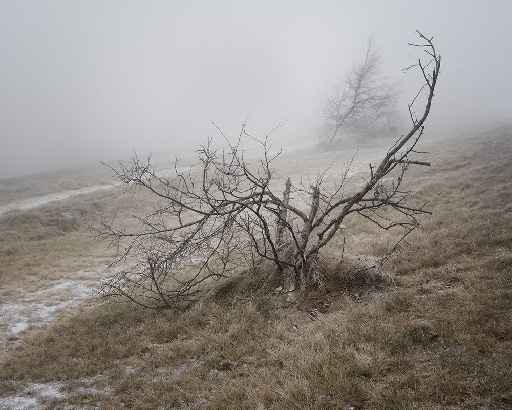 Photograph by Дмитрий Овчинников