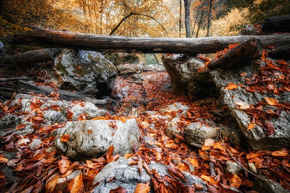 Photograph by Марк Шишкин