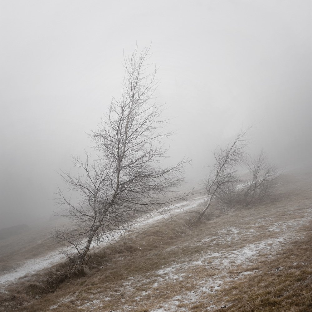 Photograph by Дмитрий Овчинников