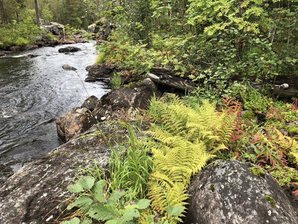 Photograph by ЮЛИЯ СУЛИМОВА