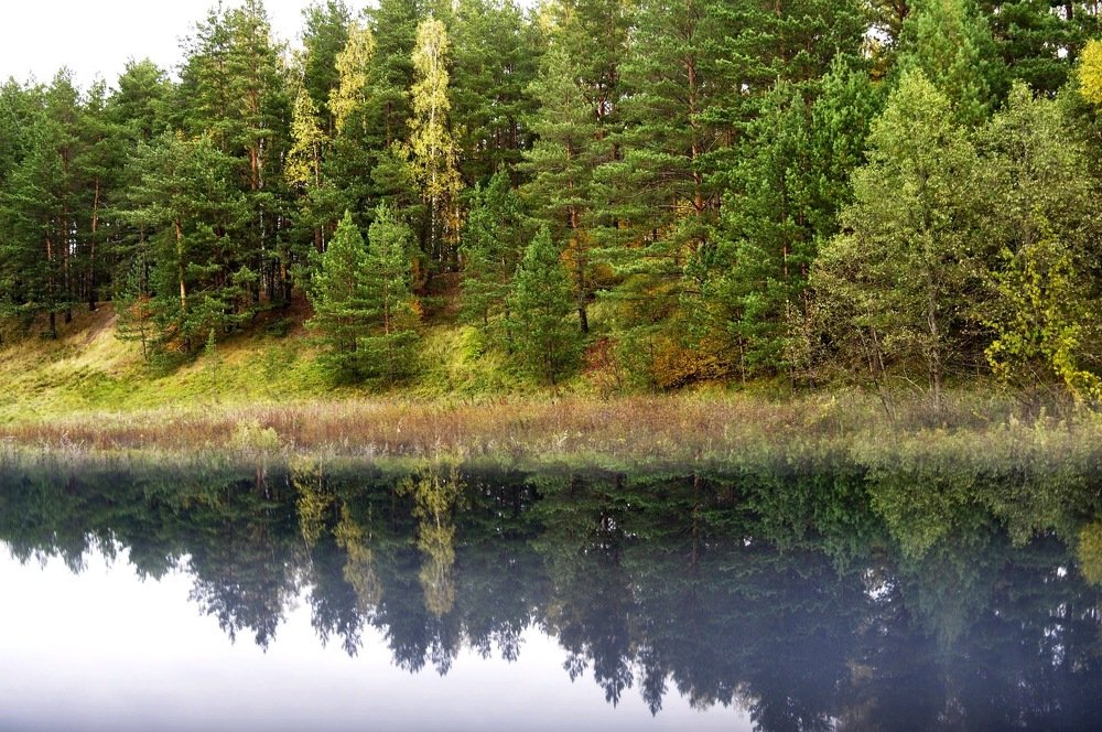 Photograph by Денис Смородин