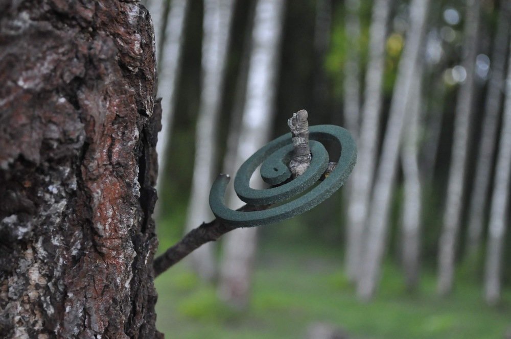 Photograph by Денис Смородин