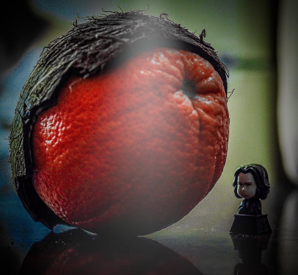 Photograph by Денис Смородин