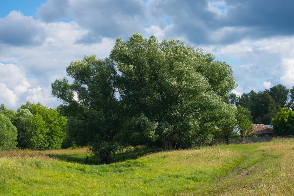 Photograph by Марина Колпакова