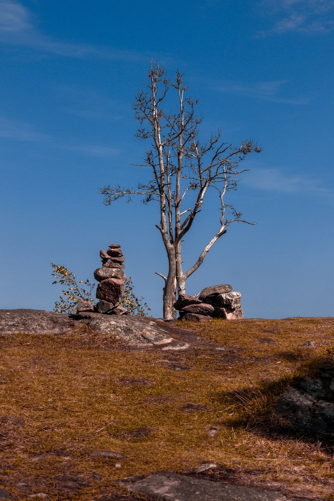 Photograph by Александр Яровой