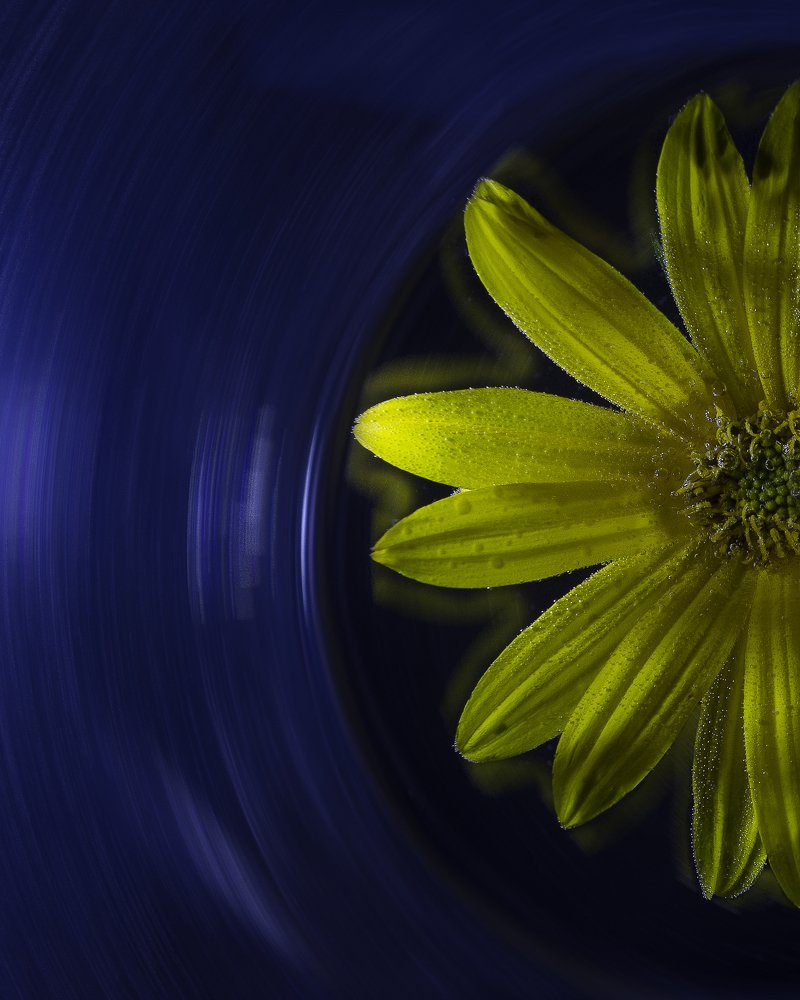 Photograph by Александр Яровой